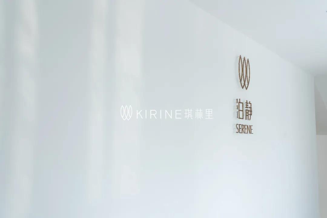 揽世案例丨琪林里生态酒店(图29)